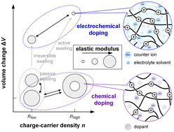Graphical abstract: Impact of doping on the mechanical properties of conjugated polymers