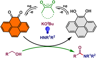 Graphical abstract: Organophotocatalytic dehydrogenative preparation of amides directly from alcohols