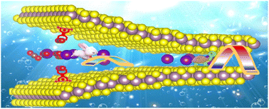 Graphical abstract: Molecular engineering on a MoS2 interlayer for high-capacity and rapid-charging aqueous ion batteries