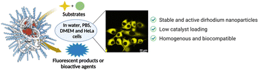 Graphical abstract: Amphiphilic polymeric nanoparticles enable homogenous rhodium-catalysed NH insertion reactions in living cells