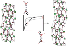 Graphical abstract: Isoreticular design of flexible Zn-based tetracarboxylate MOFs