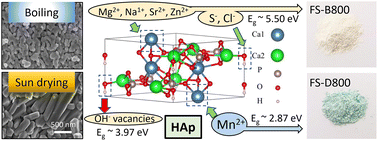 Graphical abstract: Impacts of pre-treatment methods on the morphology, crystal structure, and defects formation of hydroxyapatite extracted from Nile tilapia scales