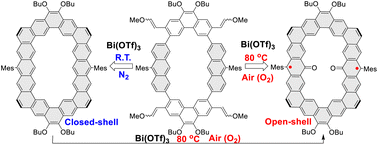 Graphical abstract: From closed-shell edge-extended kekulenes to open-shell carbonylated cycloarene diradicaloid