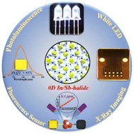 Graphical abstract: A 0D hybrid lead-free halide with near-unity photoluminescence quantum yield toward multifunctional optoelectronic applications