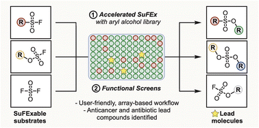 Graphical abstract: Modular synthesis of functional libraries by accelerated SuFEx click chemistry