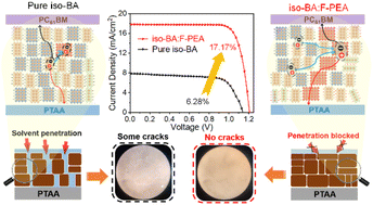 Graphical abstract: Strain relaxation and phase regulation in quasi-2D perovskites for efficient solar cells