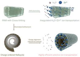 Graphical abstract: Building fast and selective Zn ion channels for highly stable quasi-solid-state Zn-ion batteries