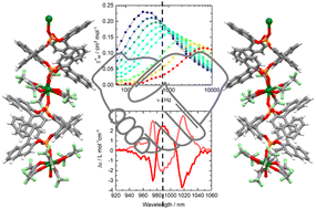 Graphical abstract: Circularly polarized luminescence in the one-dimensional assembly of binaphtyl-based Yb(iii) single-molecule magnets