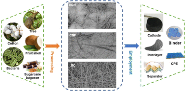 Graphical abstract: Inexhaustible natural celluloses in advanced Li–S batteries: a review