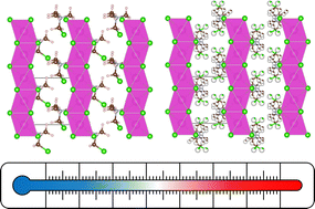 Graphical abstract: Models of orientational disorder in hybrid organic–inorganic piezoelectric materials