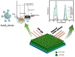 Graphical abstract: A plasmonic hetero-structure using charge transfer effect improved LSPR for enhanced up-conversion luminescence