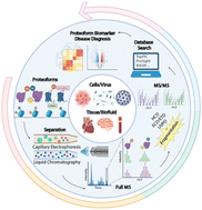 Graphical abstract: Mass spectrometry-intensive top-down proteomics: an update on technology advancements and biomedical applications