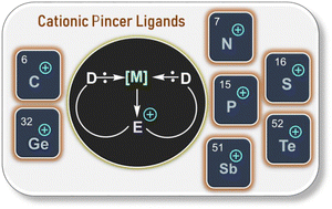 Graphical abstract: Cationic ligands – from monodentate to pincer systems