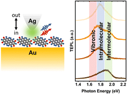 Graphical abstract: Visualizing nanoscale heterogeneity in perylene thin films via tip-enhanced photoluminescence with unsupervised machine learning