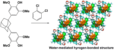 Graphical abstract: Inclusion of halobenzene in water-mediated hydrogen-bonded architectures built from a V-shaped host molecule