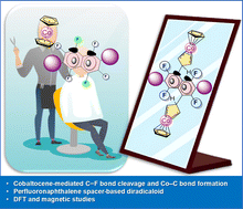 Graphical abstract: Unprecedented C–F bond cleavage in perfluoronaphthalene during cobaltocene reduction