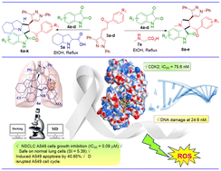 Graphical abstract: Exploiting spirooxindoles for dual DNA targeting/CDK2 inhibition and simultaneous mitigation of oxidative stress towards selective NSCLC therapy; synthesis, evaluation, and molecular modelling studies