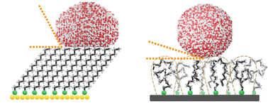 Graphical abstract: Functionalization of monolithic MOF thin films with hydrocarbon chains to achieve superhydrophobic surfaces with tunable water adhesion strength