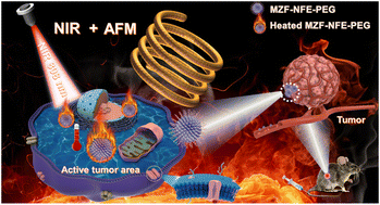 Graphical abstract: NIR and magnetism dual-response multi-core magnetic vortex nanoflowers for boosting magneto-photothermal cancer therapy