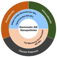 Graphical abstract: Advances in biomimetic AIE nanoparticles for diagnosis and phototherapy