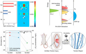 Graphical abstract: Highly spontaneous spin polarization engineering of single-atom artificial antioxidases towards efficient ROS elimination and tissue regeneration