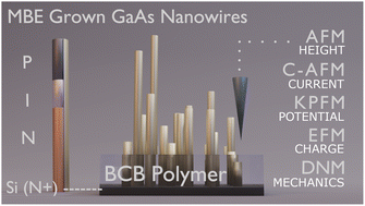 Graphical abstract: Atomic force microscopy as a multimetrological platform for energy devices