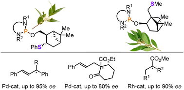 Graphical abstract: Application of mixed phosphorus/sulfur ligands based on terpenoids in Pd-catalyzed asymmetric allylic substitution and Rh-catalyzed hydrogenation