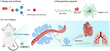 Graphical abstract: NIR AIE luminogens for primary and metastasis tumor imaging and tracking applications