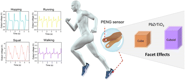 Graphical abstract: Synthesis of shape-tunable PbZrTiO3 nanocrystals with lattice variations for piezoelectric energy harvesting and human motion detection