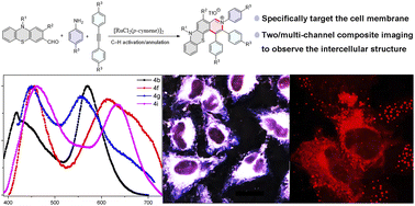 Graphical abstract: Ruthenium-catalyzed C–H bond activation and annulation of phenothiazine-3-carbaldehydes: facile access to dual-emission materials