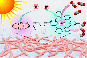 Graphical abstract: CoII-organic ‘soft’ metallo-supramolecular polymer nanofibers for efficient photoreduction of CO2