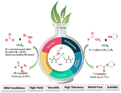 Graphical abstract: Green synthesis of thioamide derivatives in an environmentally benign deep eutectic solvent (DES)