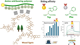 Graphical abstract: Exploration of lignin-binding synthetic polymers with pendant hydrophobic amino acids