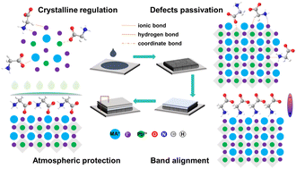 Graphical abstract: Recent advances in ionic molecules applied in perovskite solar cells