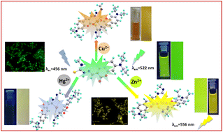 Graphical abstract: Adaptable coumarin-based fluorescent molecular multianalyte sensor for Zn2+, Hg2+ and Cu2+via different sensing modalities and its bioimaging applications