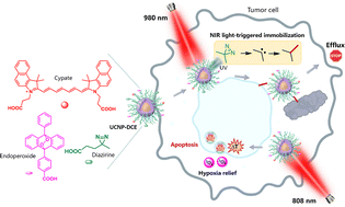 Graphical abstract: A near-infrared light-triggered covalent nanodrug for combined singlet oxygen therapy and photothermal therapy