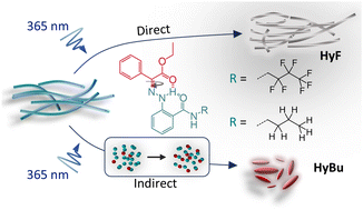 Graphical abstract: Side-chain dependent direct vs. indirect photoresponse in hydrazone-based supramolecular polymers