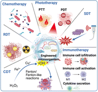 Graphical abstract: Microbial therapeutics for cancer: emerging strategies and biomedical applications