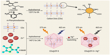 Graphical abstract: A fluorescent nanohybrid sensor based on carbon dots encapsulated in a metal organic framework for highly selective and sensitive detection of mercury