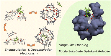 Graphical abstract: Elucidating the mechanism of substrate encapsulation in supramolecular resorcin[4]arene using enhanced sampling simulations