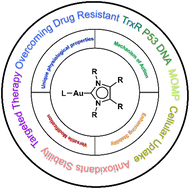 Graphical abstract: Au NHC complexes as anticancer agents: milestones, strategies and future developments
