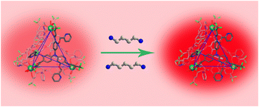 Graphical abstract: An Eu4L44 tetrahedron with multiple recognition sites: a luminescent sensor for rapid and sensitive detection of biogenic amines