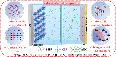 Graphical abstract: Enhancing low-temperature durability and sodium-ion transport of anode-free sodium metal batteries through utilization of a solvent adsorption separator