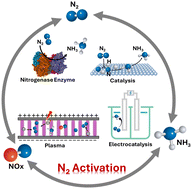 Graphical abstract: Advancements in dinitrogen activation for catalytic breakthroughs