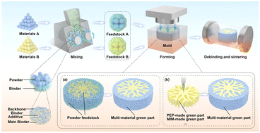 Graphical abstract: A combined plastic shaping method for powder metallurgy complex multi-material structures