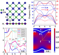 Graphical abstract: TMB (TM = Cr, Fe) monolayers: a new type of room temperature antiferromagnetic topological nodal line semimetal