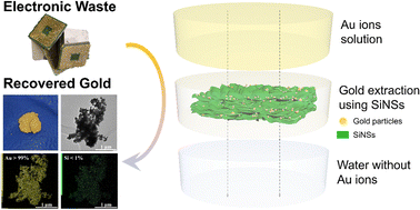 Graphical abstract: High-efficiency gold recovery from electronic waste with 2D silicon nanosheets