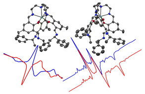 Graphical abstract: Chiral molecular 4f qubits by post functionalization