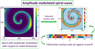Graphical abstract: Radially evolving spiral wave patterns in the Gierer–Meinhardt reaction–diffusion system