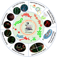 Graphical abstract: Advancements and perspectives on organelle-targeted fluorescent probes for super-resolution SIM imaging